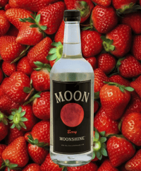 Screen Shot 2025-12-15 at 9.20.20 AM